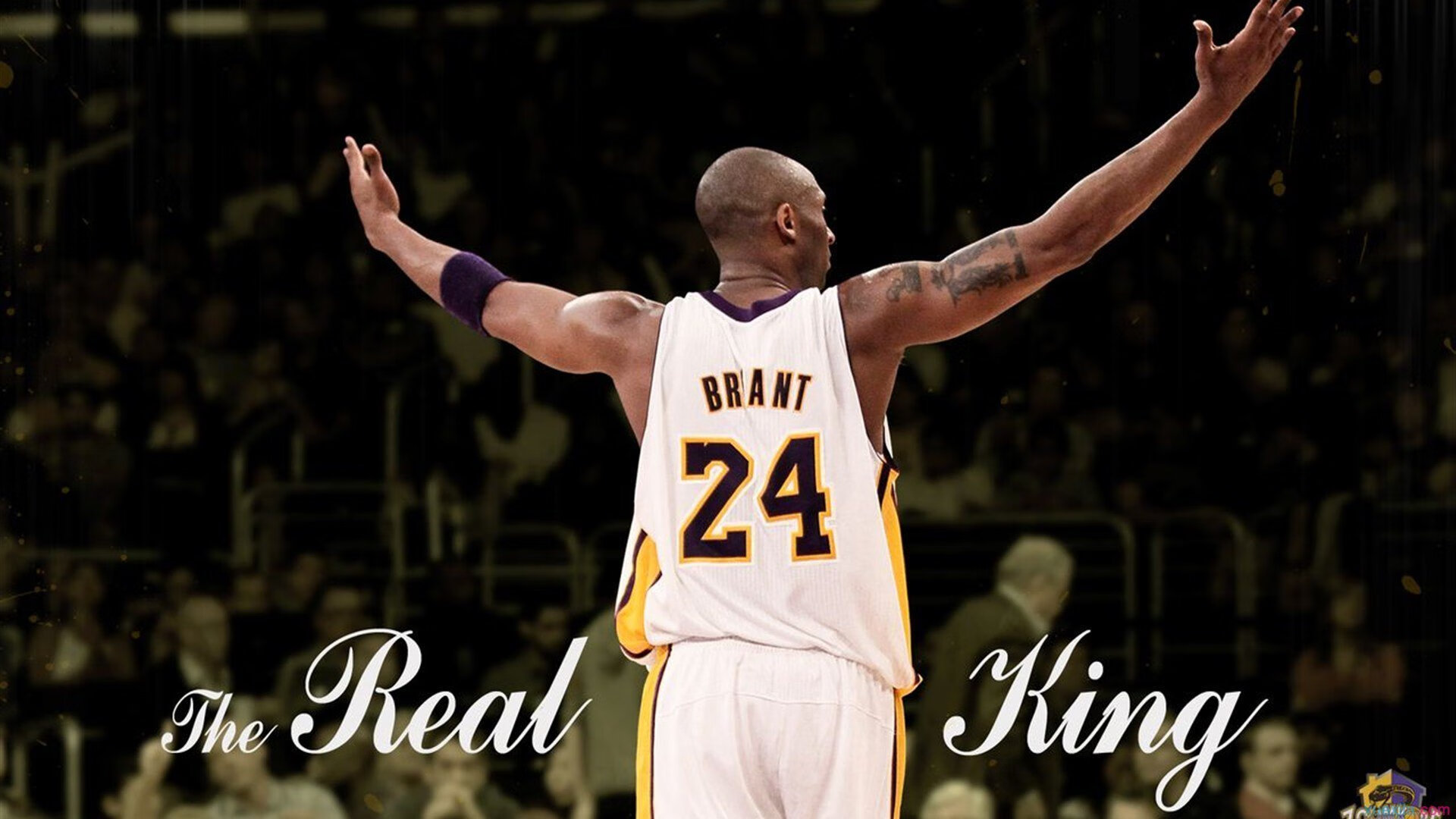 穆雷赛事官方发布惊险取胜新规，拜仁争议不断！